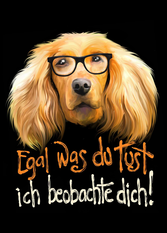Golden Retriever Glasses