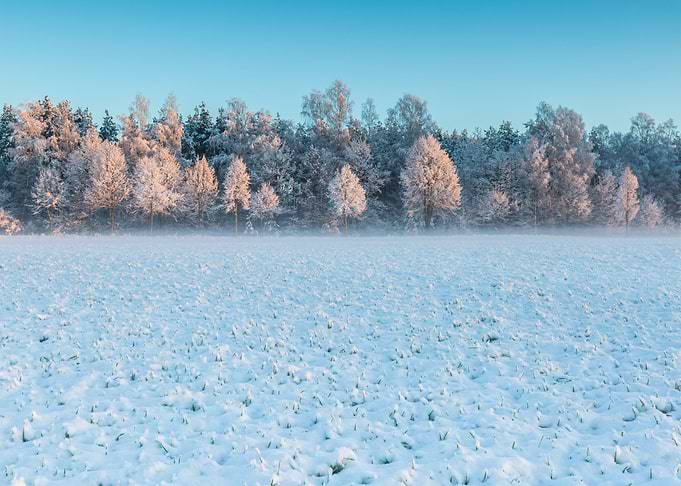 Landscape Frost Field Sky