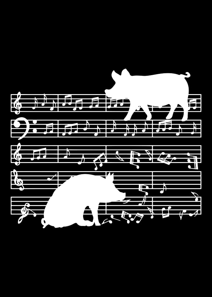 music teacher musician