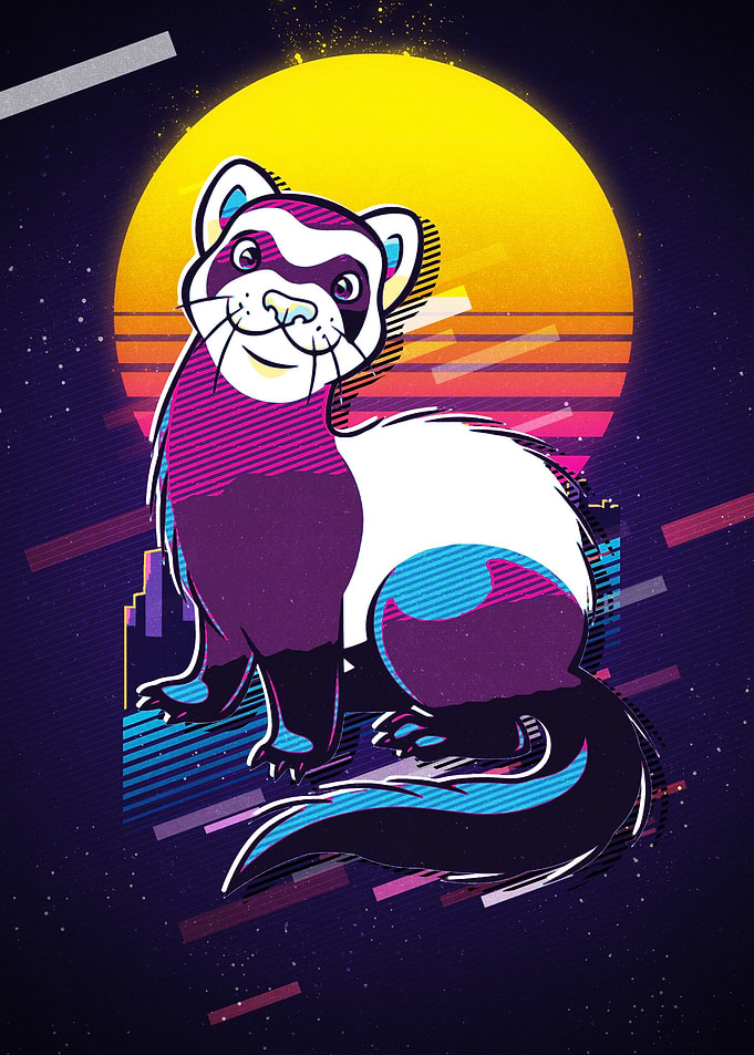 Ferrets