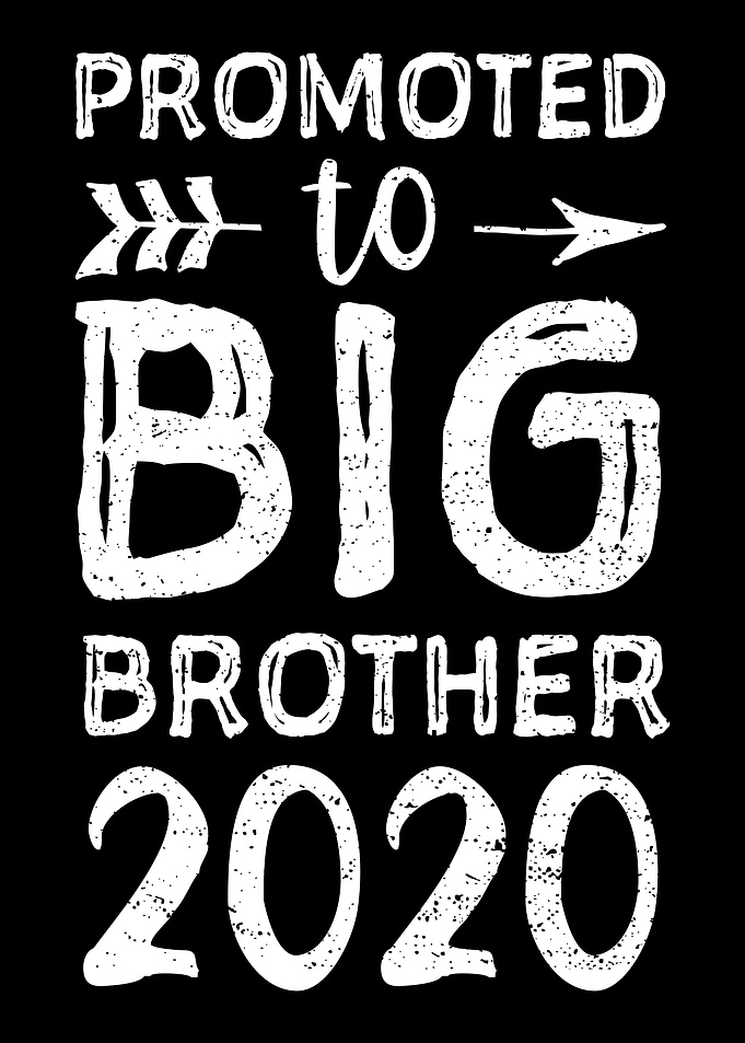 Promoted To Big Brother 20