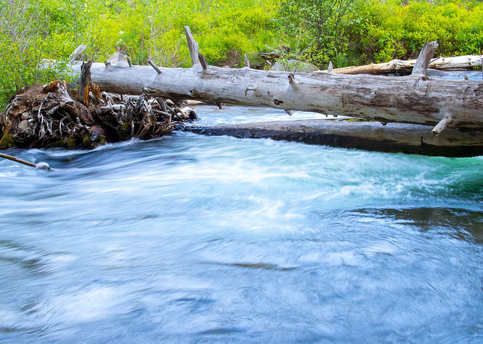 The Rushing Tumalo 3