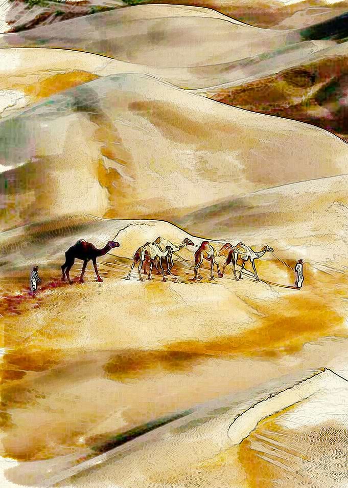 Camel Transport