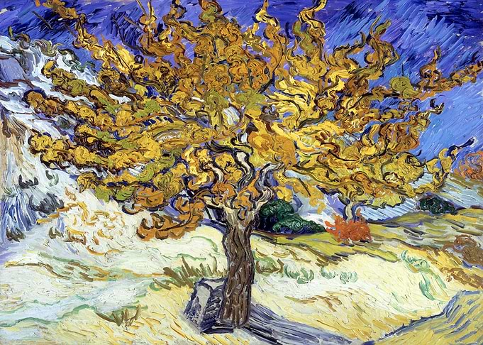 Van Gogh Mulberry Tree