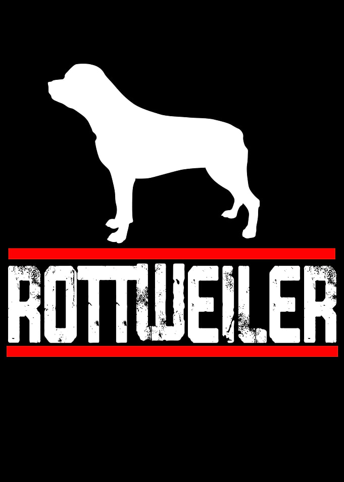 Rottweiler Clothing