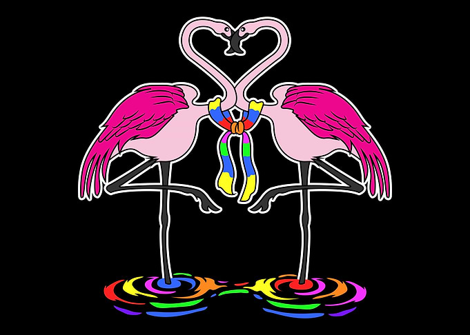 Gay Pride With A Flamingo