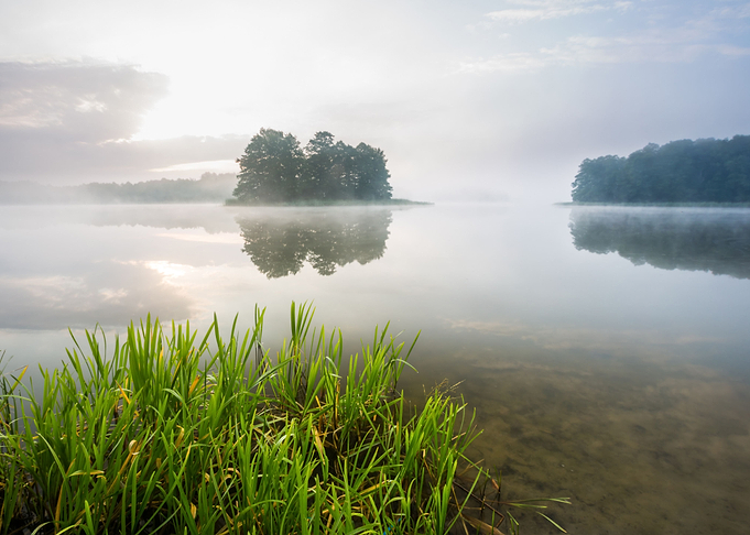 Landscape Morning Lake For
