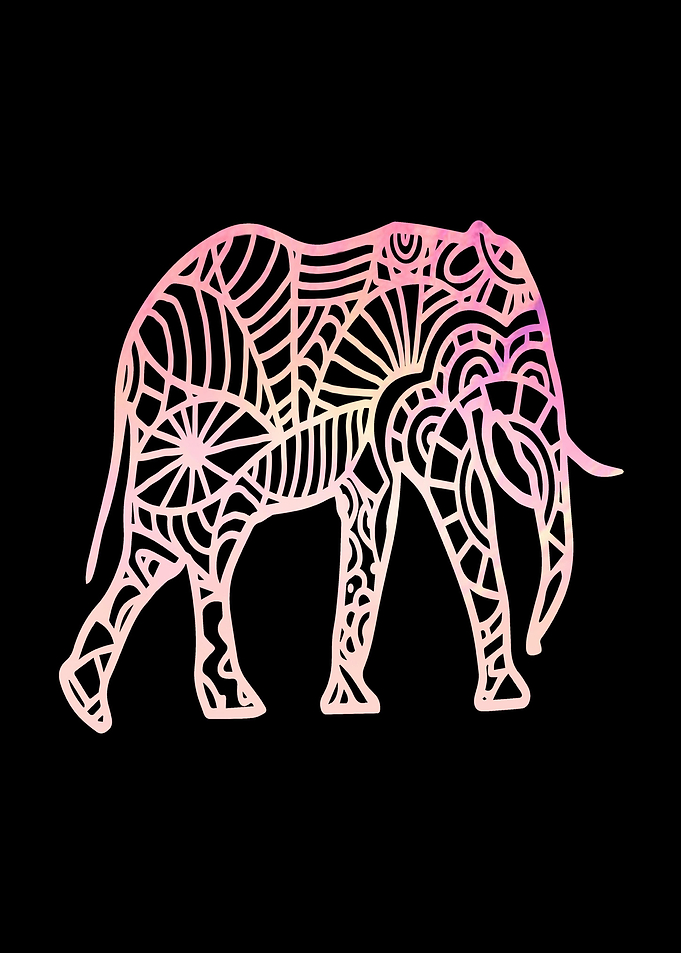 Elephant Mandala drawing