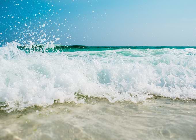 Plage Motion