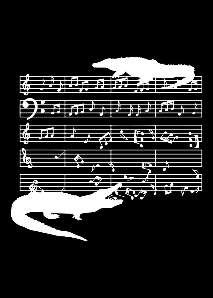music teacher musician