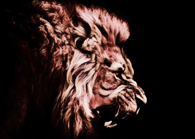 Angry Lion