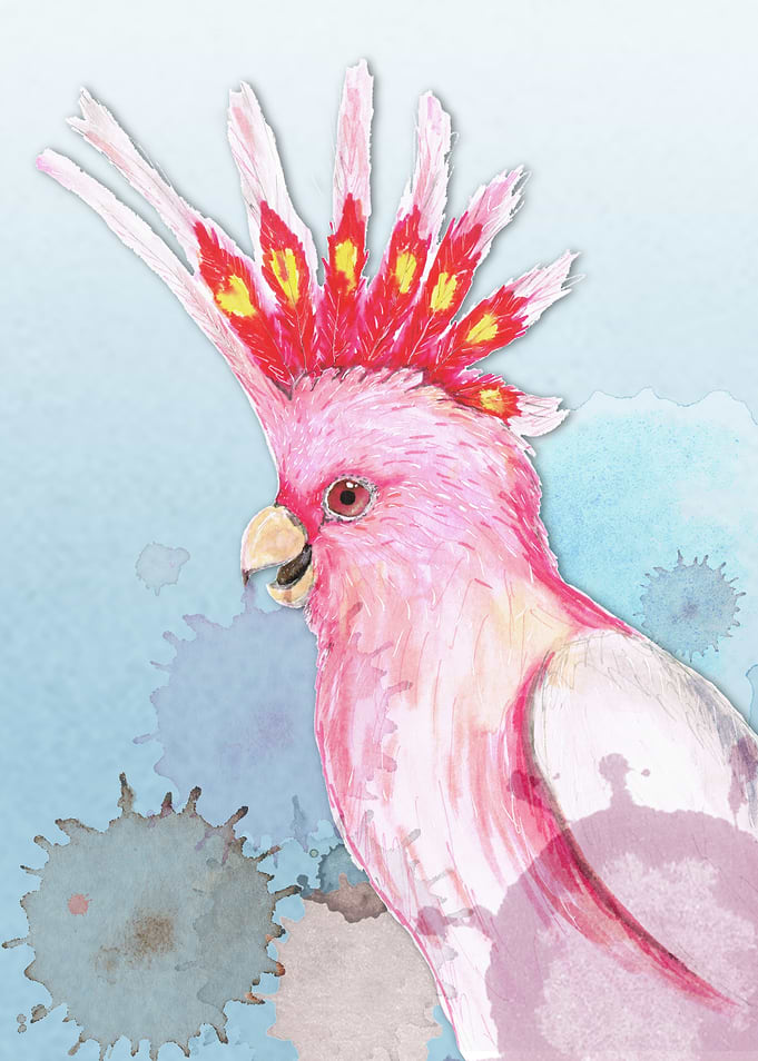 Major Mitchells cockatoo