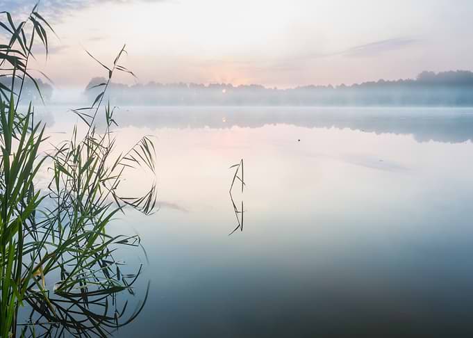 Landscape Morning Lake For