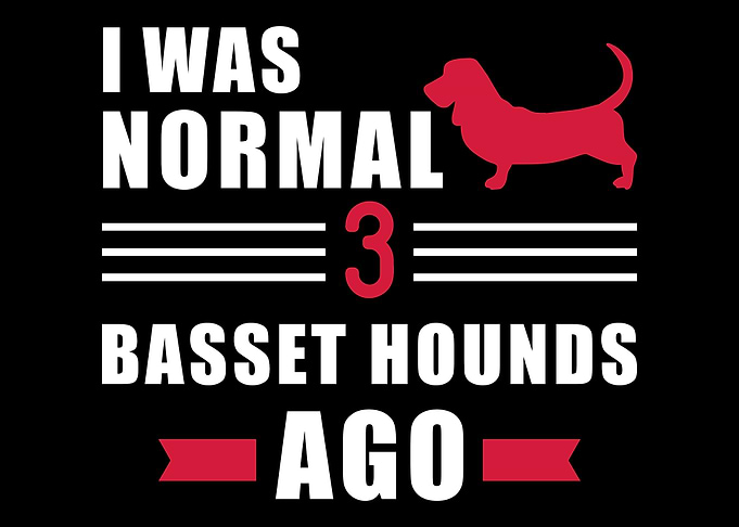 Basset Hound