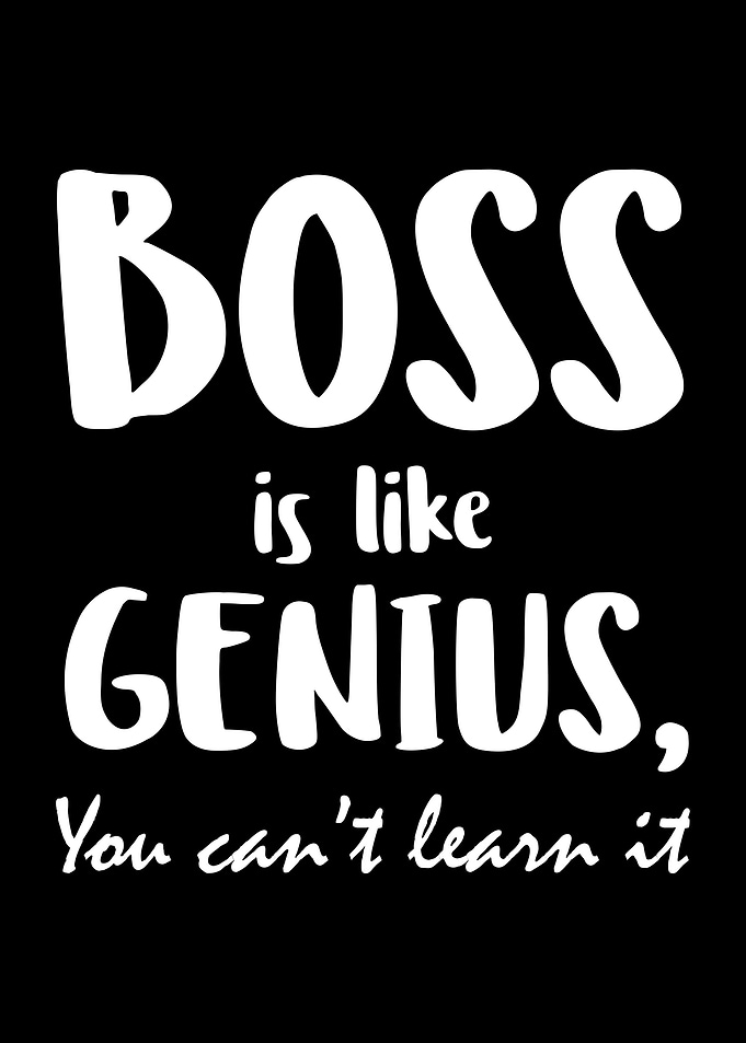 Boss Funny Office Humor