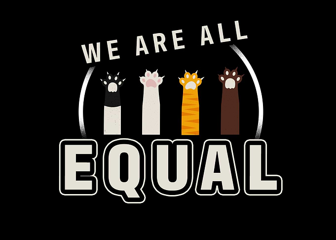 Cat Antiracist Equality