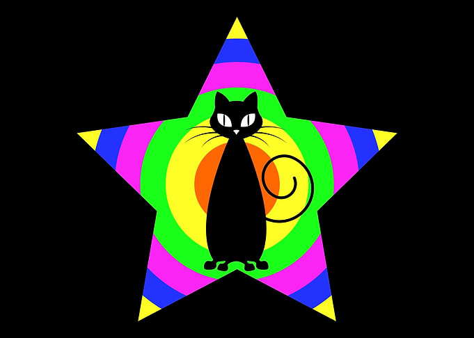 Gay Pride Cat Owner