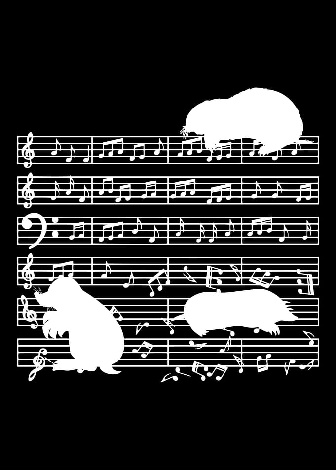 music teacher musician