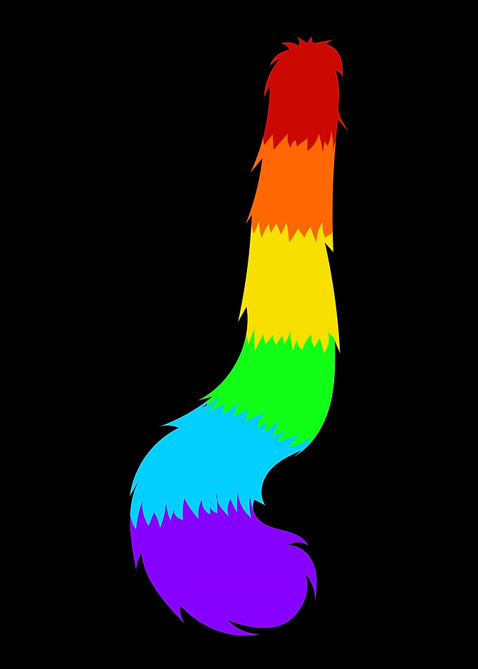 Gay Pride Cat Lover
