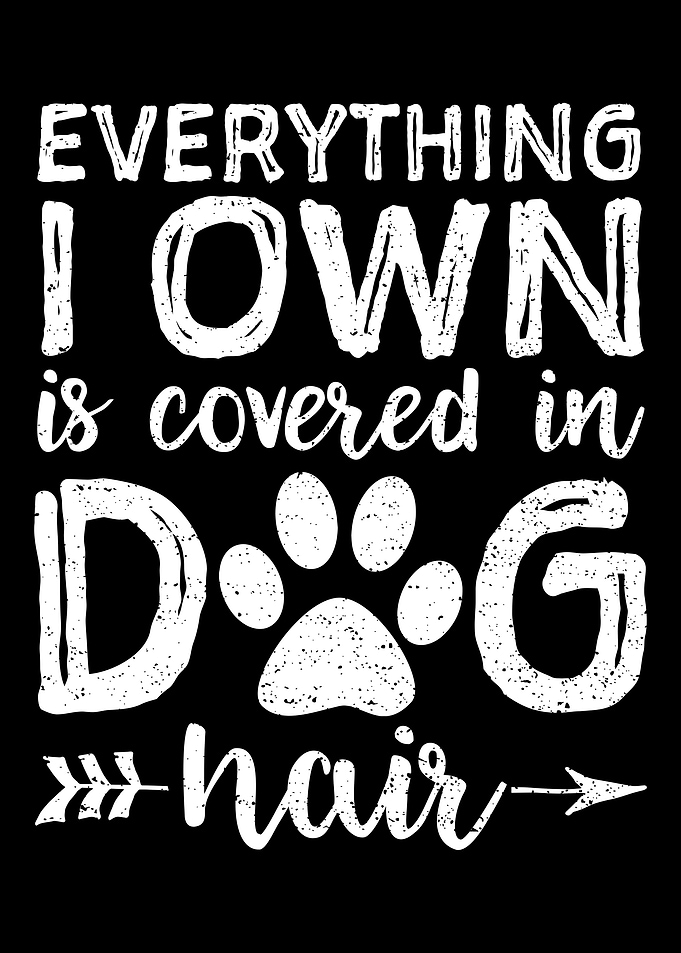Everything I Own Is Covere