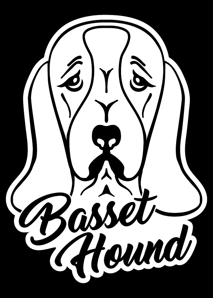 Basset Hound