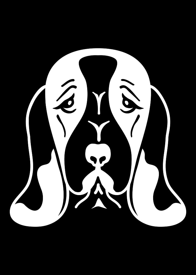 Basset Hound