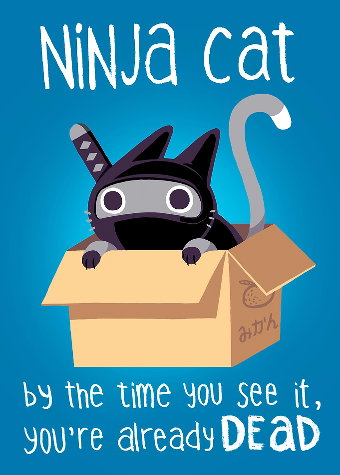 Ninja Cat