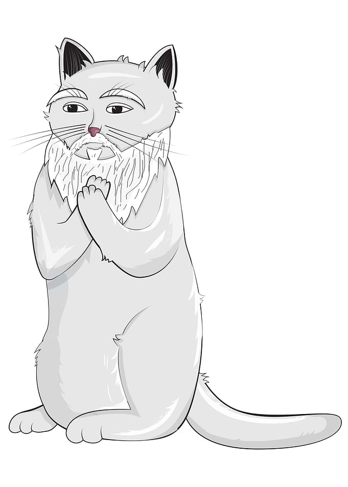 Cat Confucius Catfucius