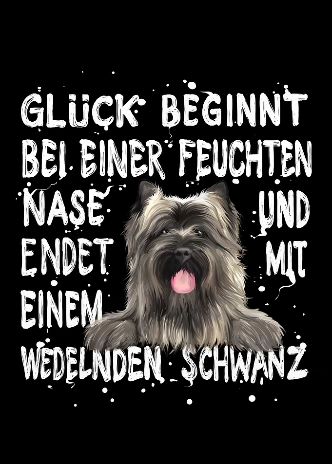 Cairn Terrier Glueck