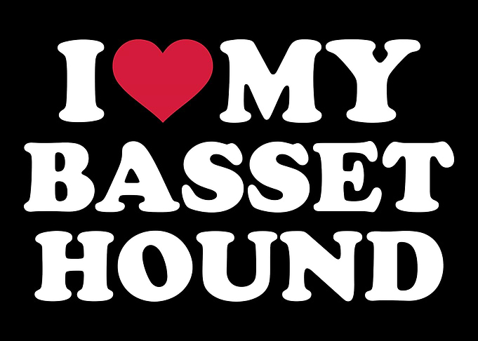 Basset Hound