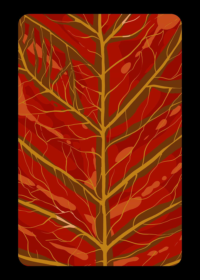 Leaf Red Nature Lover Gif
