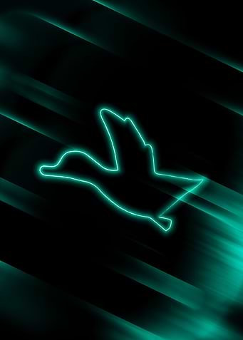 DUCK HUNT