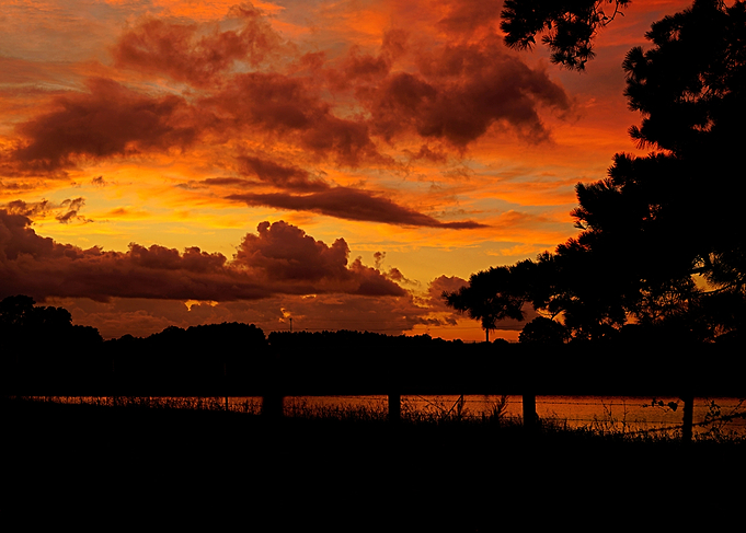 Sunset on the hillside