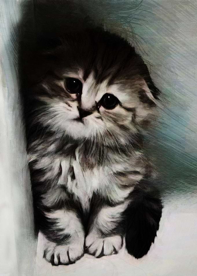 Kitty