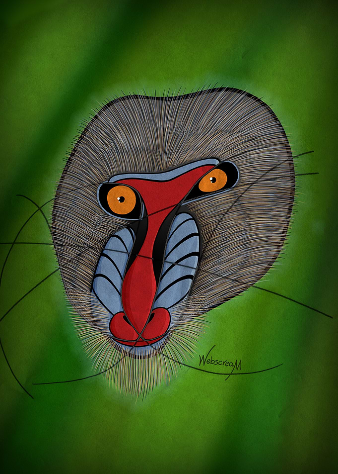 The Mandrill