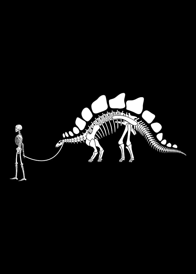 dinosaur dino funny kids k