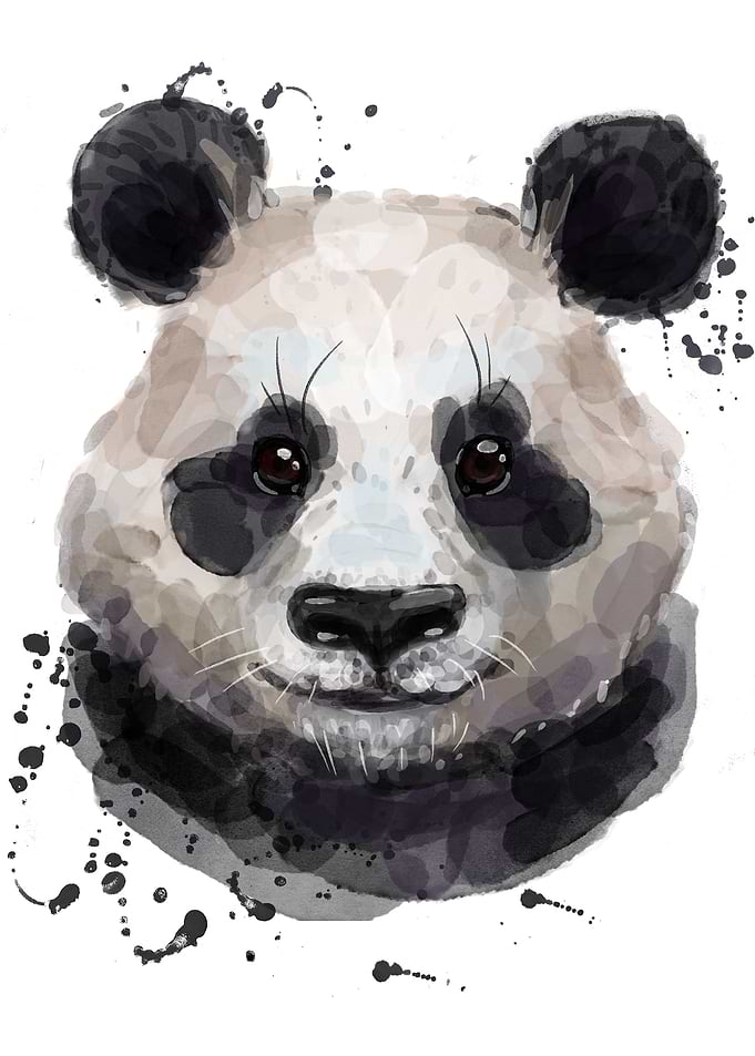 Watercolor panda bear