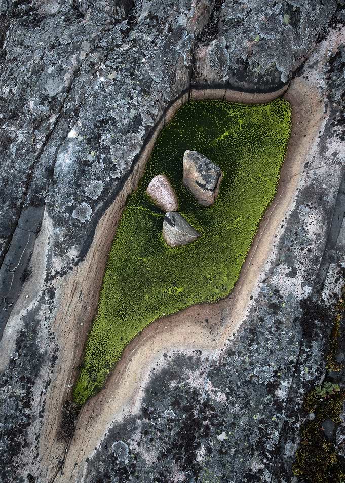 Abstract nature