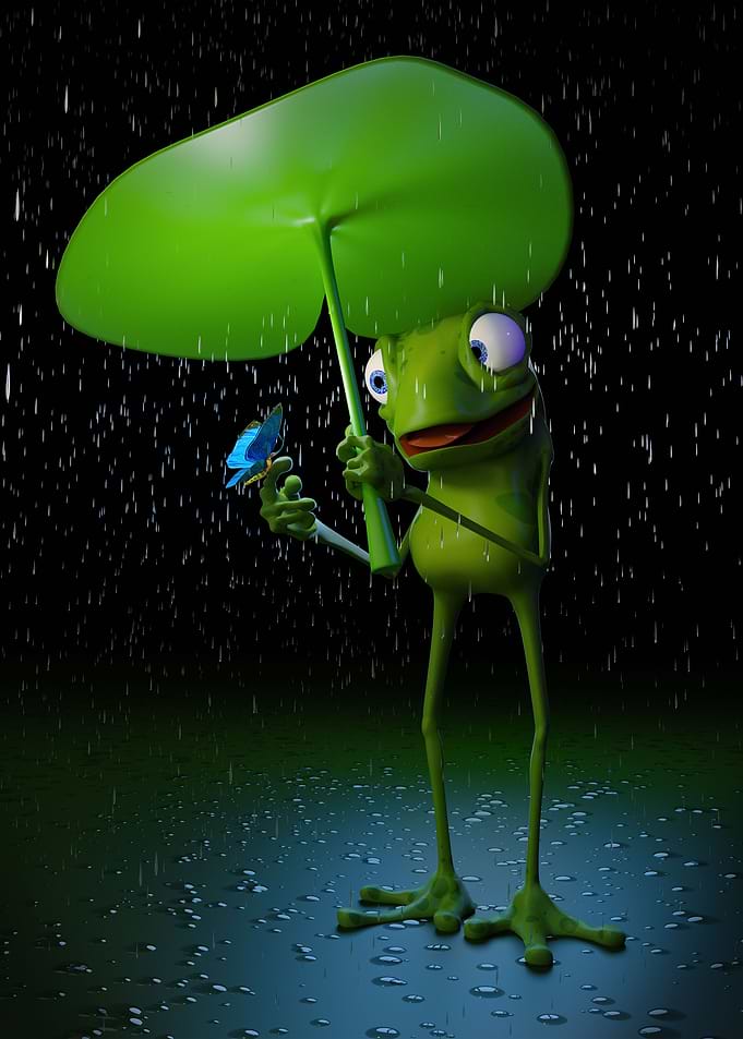 A friend on a rainy day