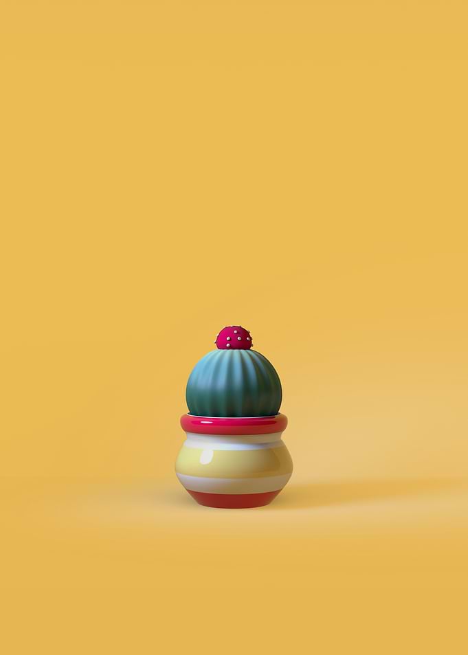 CACTUS 6