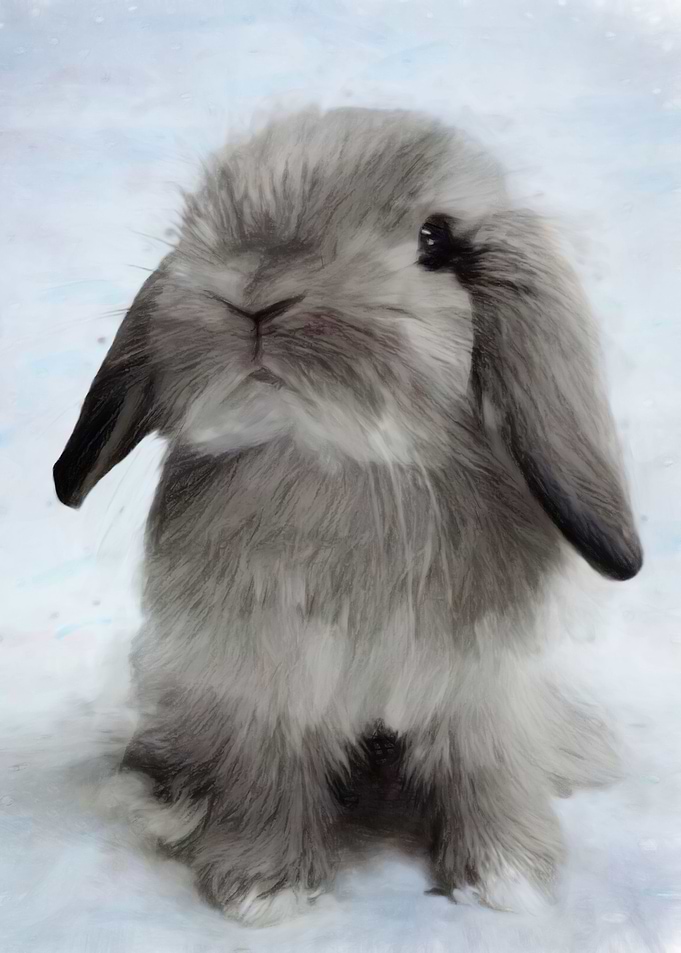 Bunny