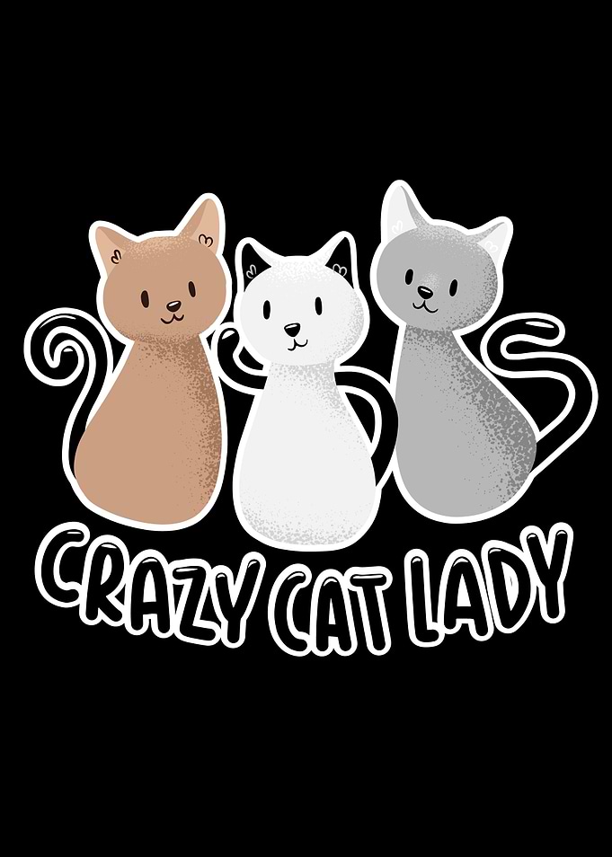 Crazy Cat Lady