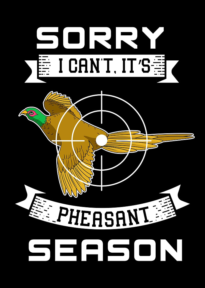 Pheasant In A Crosshair