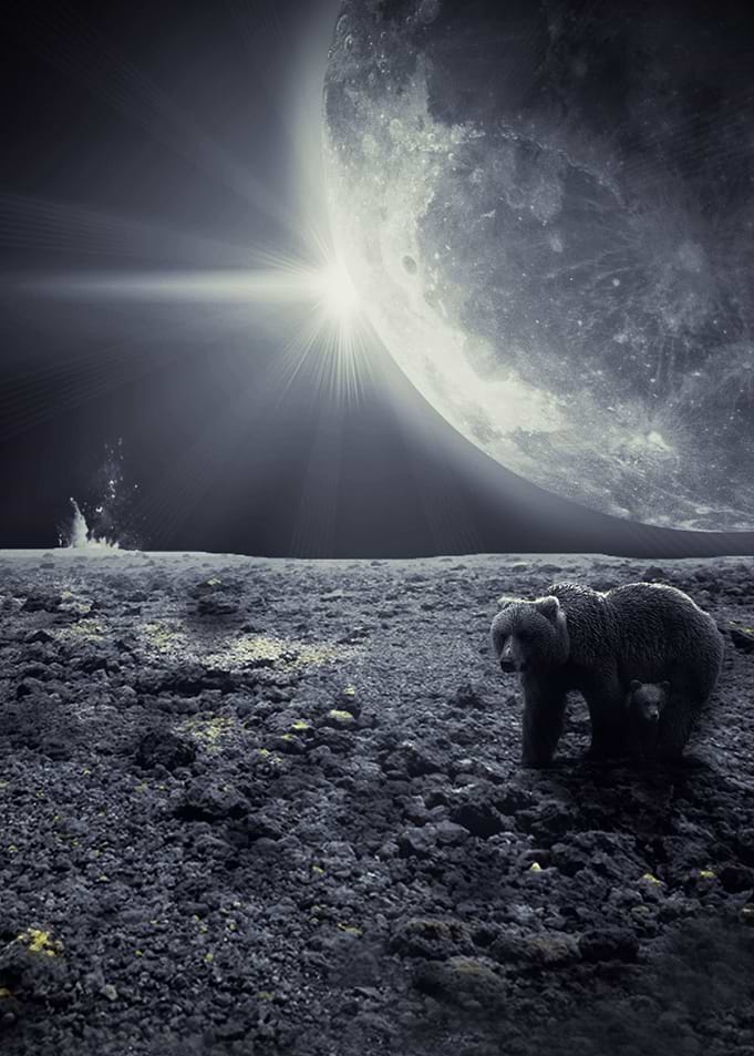 Bear Moon