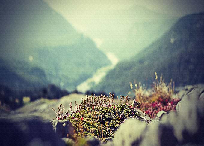 Lanscape