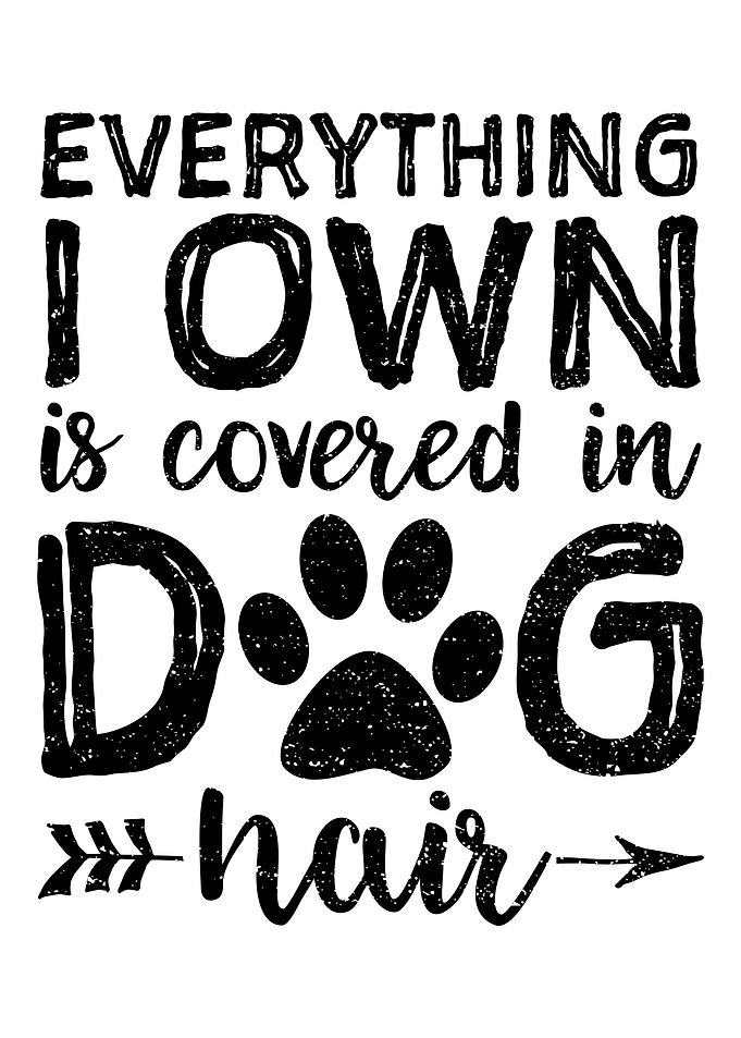Everything I Own Is Covere