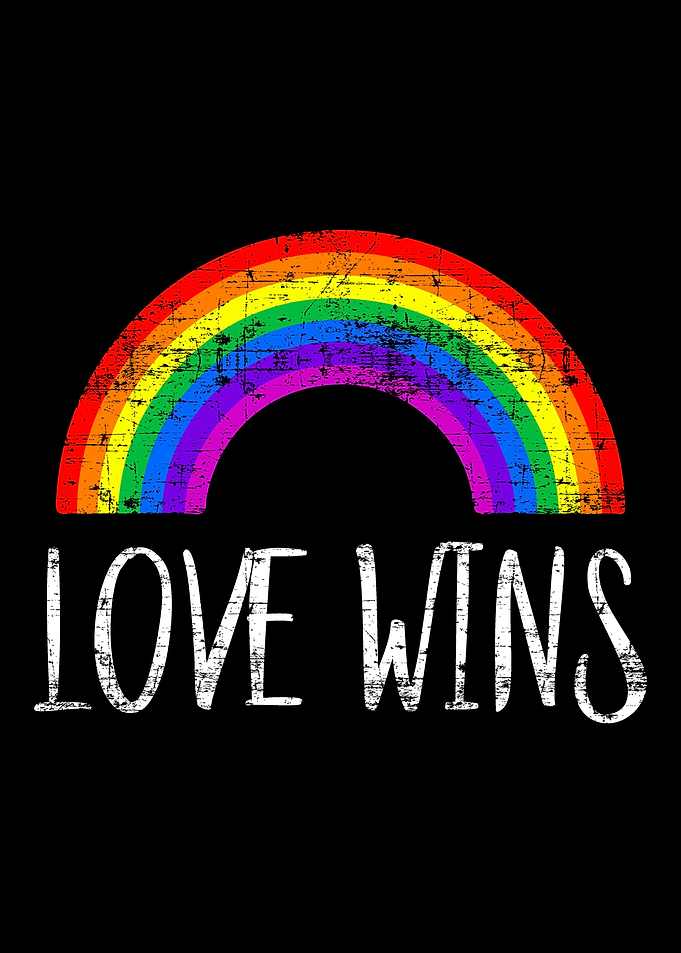 Love Wins Funny Valentine