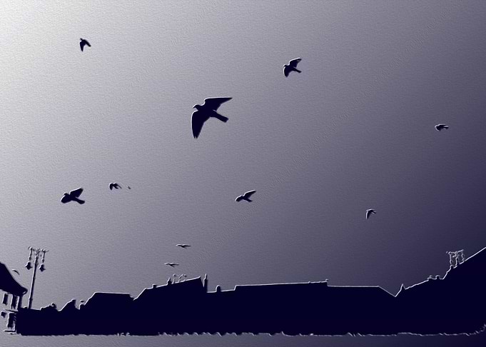 Blue flight