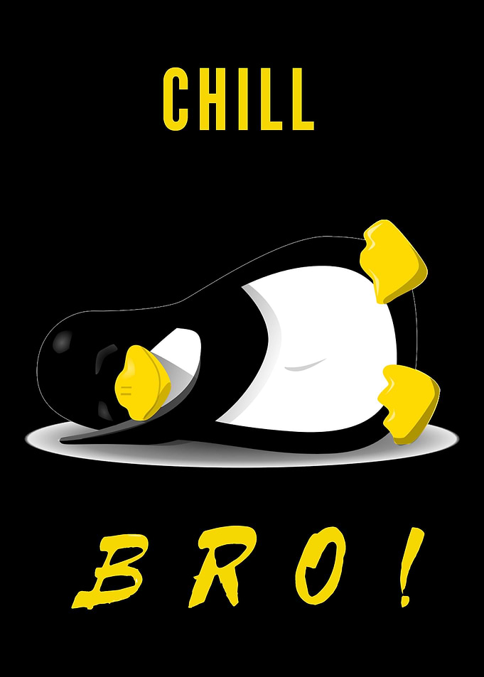 Chill Bro A lazy and rel