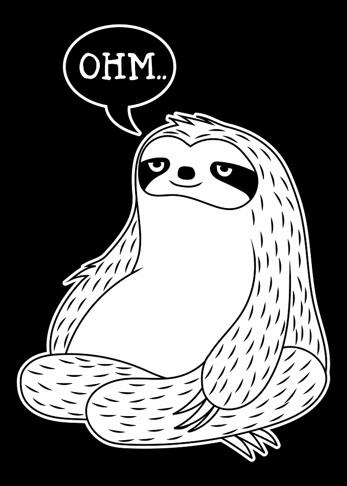 Lazy Sloth Yoga Sloth